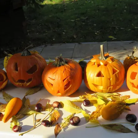 Rivendell شقة براغ